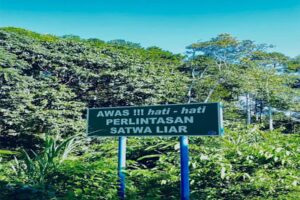 Suoh, Harmoni Ruang Hidup Manusia dan Satwa Liar