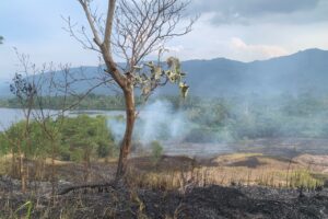 Danau Lebar Suoh Menuju Harapan Hijau