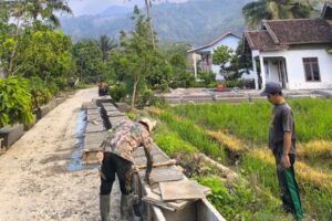 Sektor Pertanian Merawat Kehidupan Masyarakat Tugu Ratu